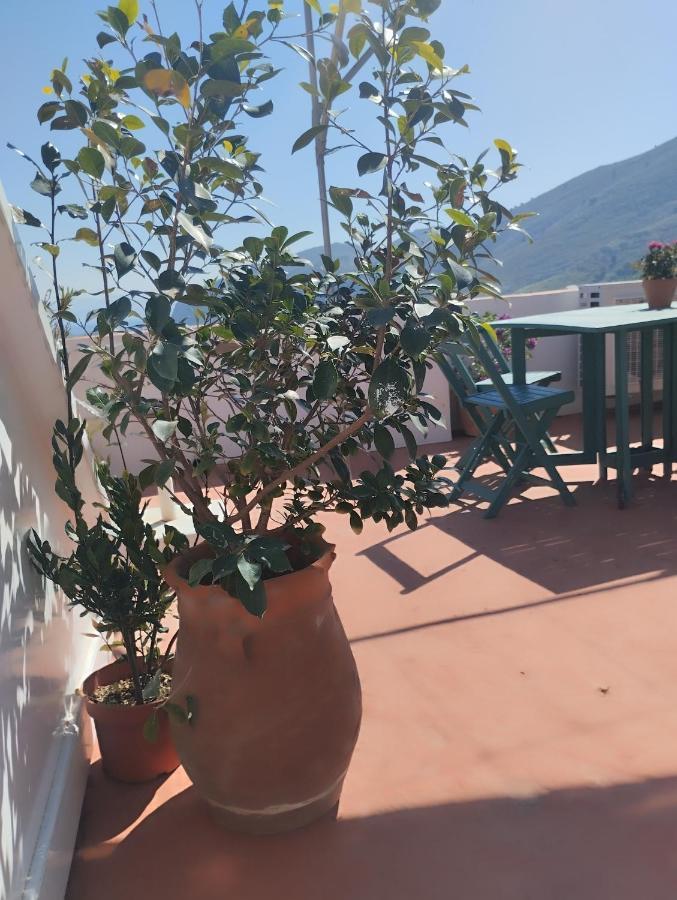 Sokratis Apartments Symi Room photo